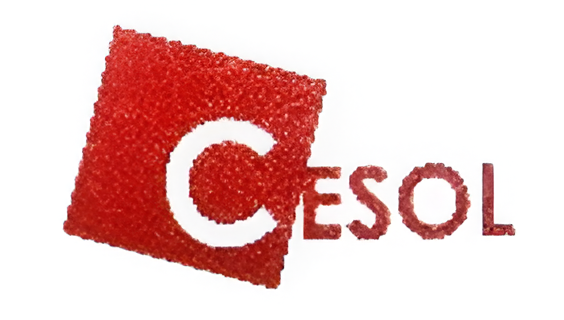 CESOL Corporation, South Korea